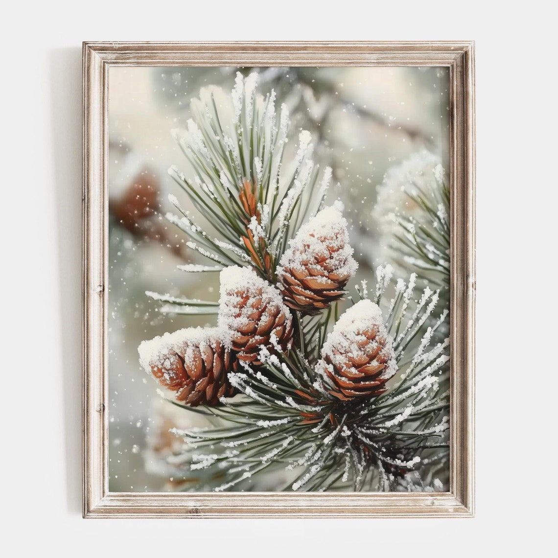 Snow Dusted Pinecones on Frosted Branch Closeup Winter Poster