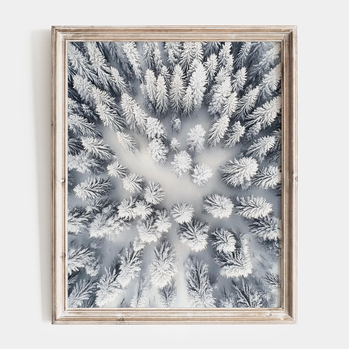 Aerial View of a Snow Covered Evergreen Forest Winter Poster