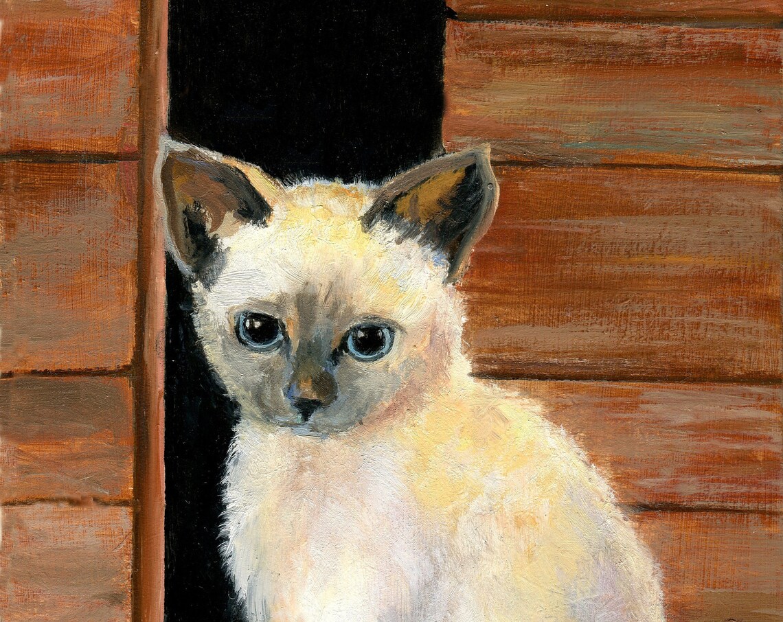 Cream Kitten with Blue Eyes Peeking from a Wooden Barn Door Poster