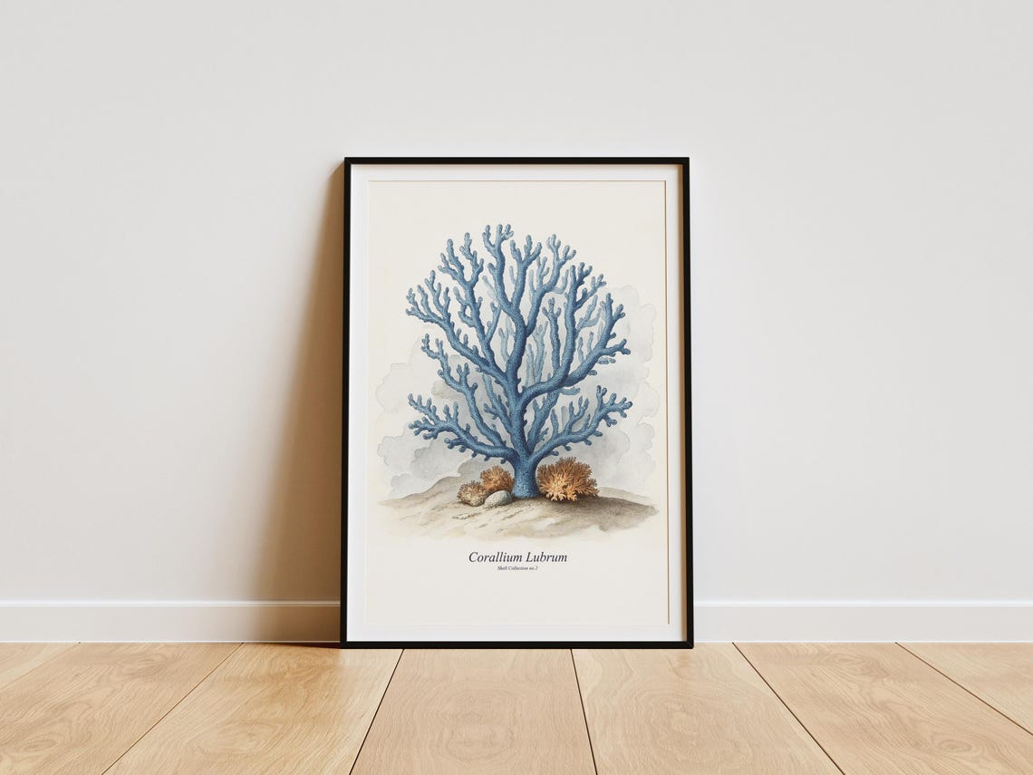 Watercolor Seashell Art Print, Coastal Antique Sketch - Image 6