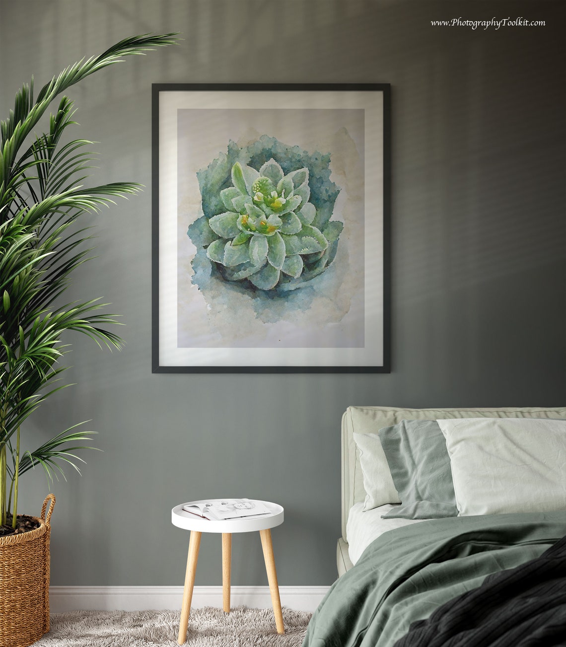 Gray Green Succulent Top View Watercolor Minimal Plant Poster - Image 3