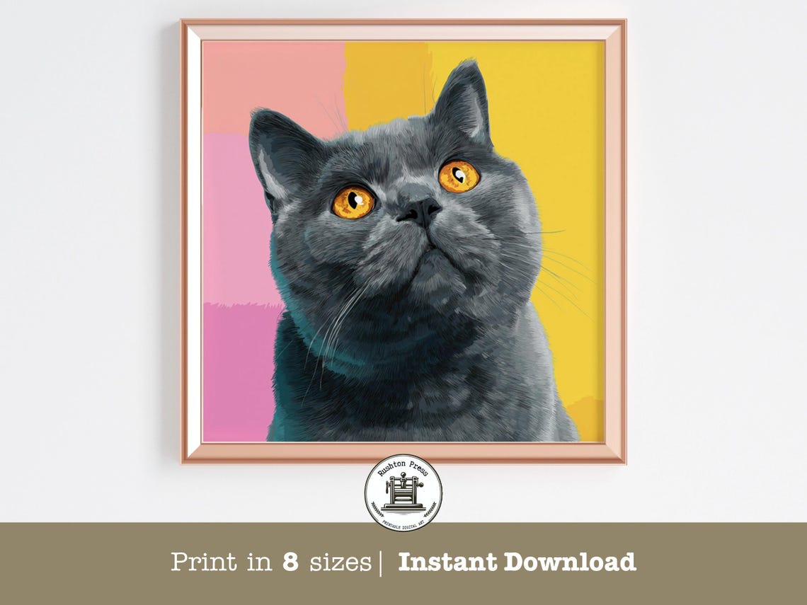 British Shorthair Cat Pop Art Portrait Amber Eyes Colorful Poster