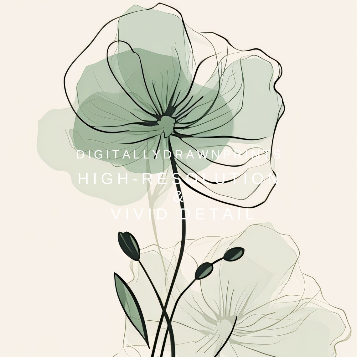 Sage Green Poppy Bloom Delicate Line Art Boho Botanical Wall Poster - Image 2