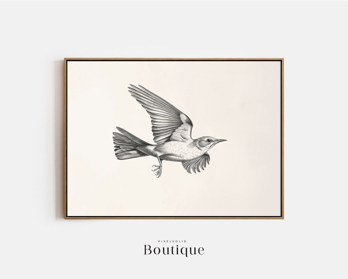 Flying Mockingbird Pencil Sketch Minimalist Neutral Bird Art Print