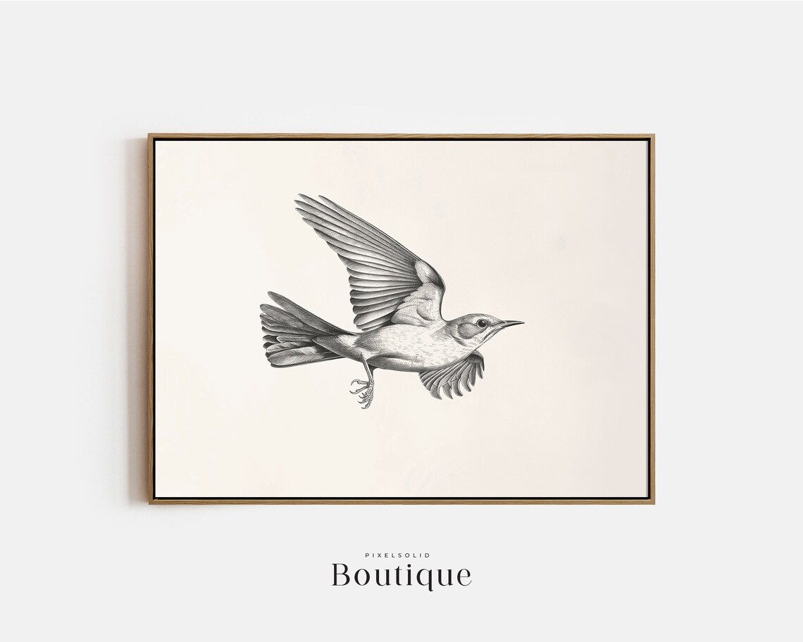 Mockingbird Sketch Neutral Bird Illustration Print Art Decor Flying Drawing Minimalist No386
