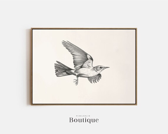 Mockingbird Sketch Neutral Bird Illustration Print Art Decor Flying Drawing Minimalist No386