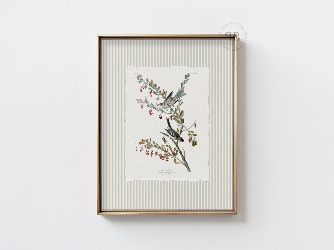 Tree Sparrow Bird Wall Art Botanical Branch Illustration Vintage Style Antique Nature Print No824