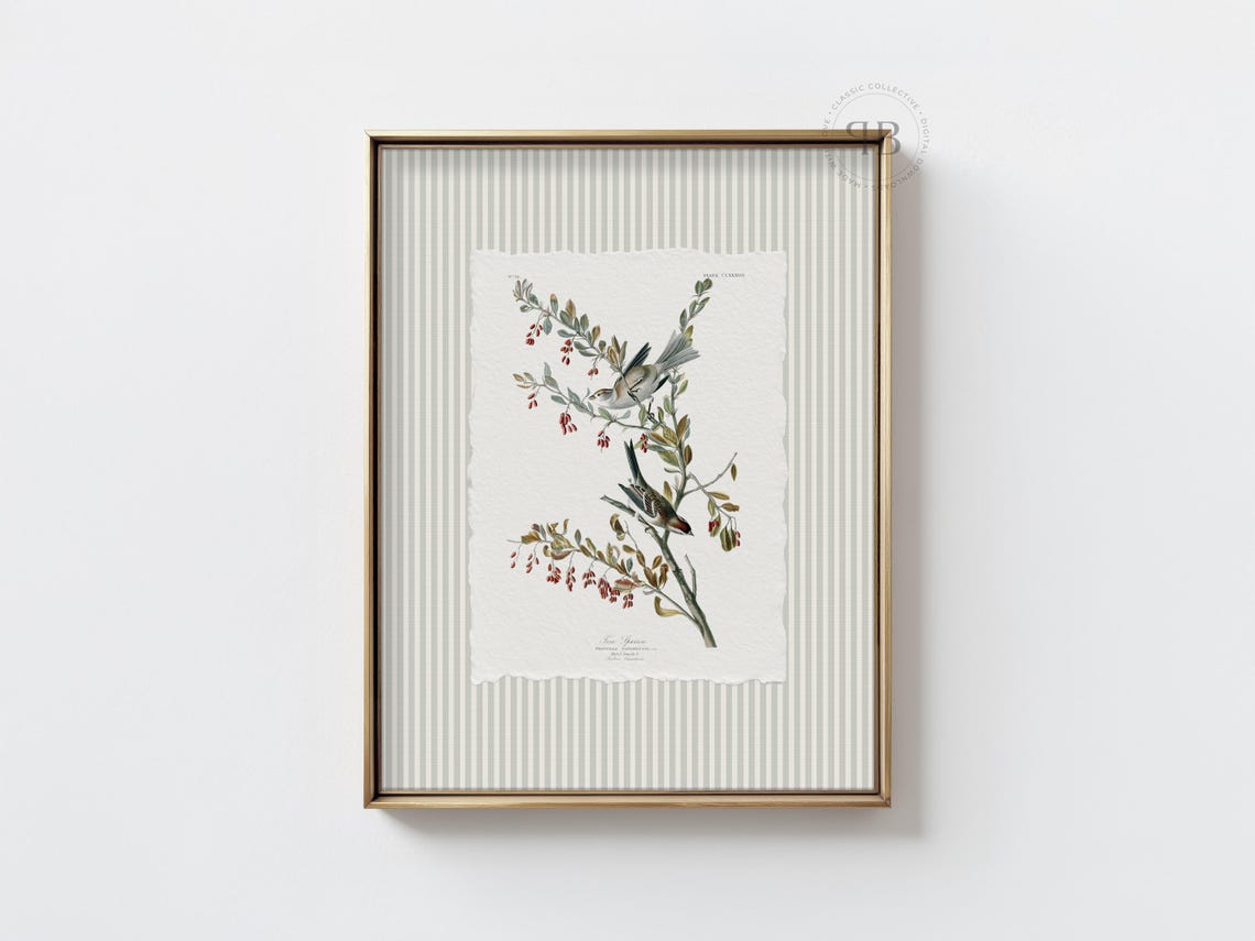 Tree Sparrow Botanical Bird Illustration Vintage Nature Poster