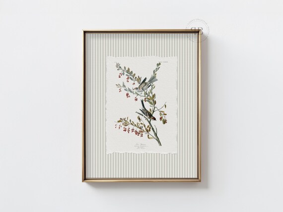 Tree Sparrow Bird Wall Art Botanical Branch Illustration Vintage Style Antique Nature Print No824