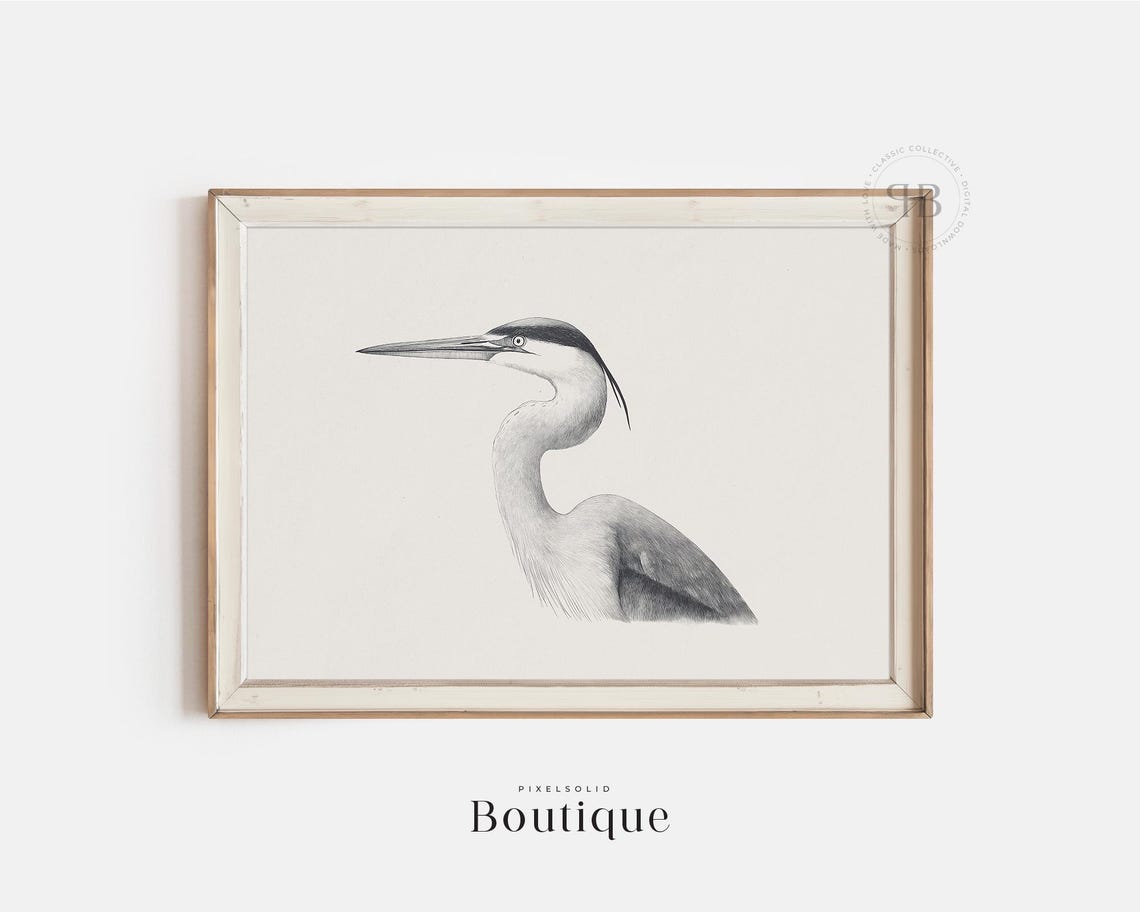 Great Blue Heron Minimalist Gray Sketch Coastal Bird Art Print