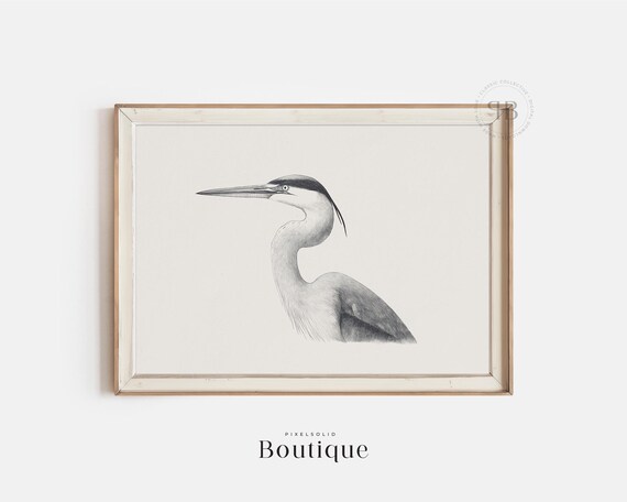 Great Blue Heron Print Elegant Minimalist Bird Art Illustration Black White Coastal Wall Decor Nature Lovers No528