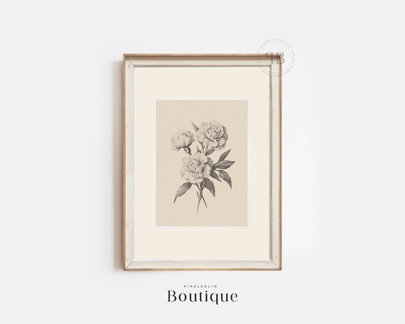Black And White Peony Illustration Minimalist Floral Wall Art Botanical Decor For Bedroom Or Office No618