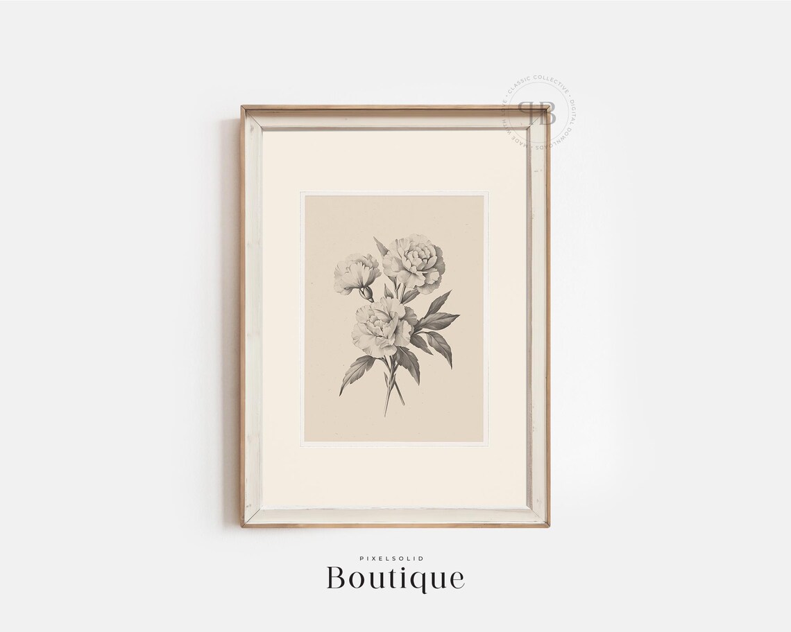 Black And White Peony Illustration Minimalist Floral Wall Art Botanical Decor For Bedroom Or Office No618