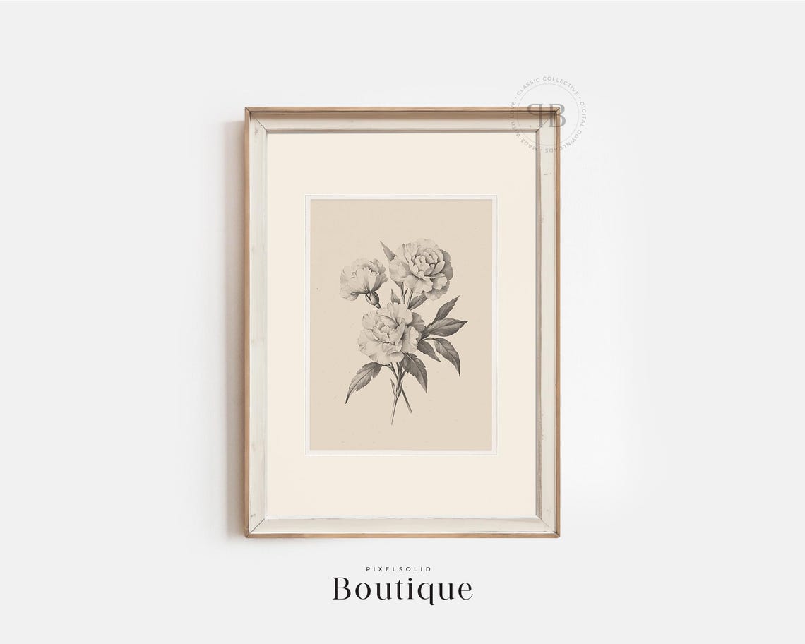 Peony Floral Illustration Minimalist Botanical Sketch Art Poster