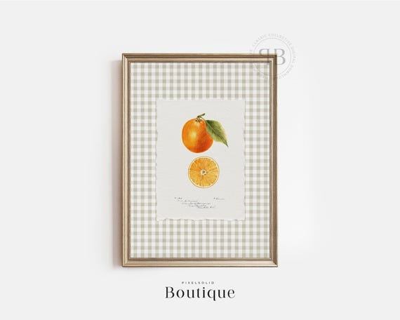 Orange Botanical Fruit Print Antique Citrus Illustration Farmhouse Kitchen Wall Art Decor Vintage Style No795