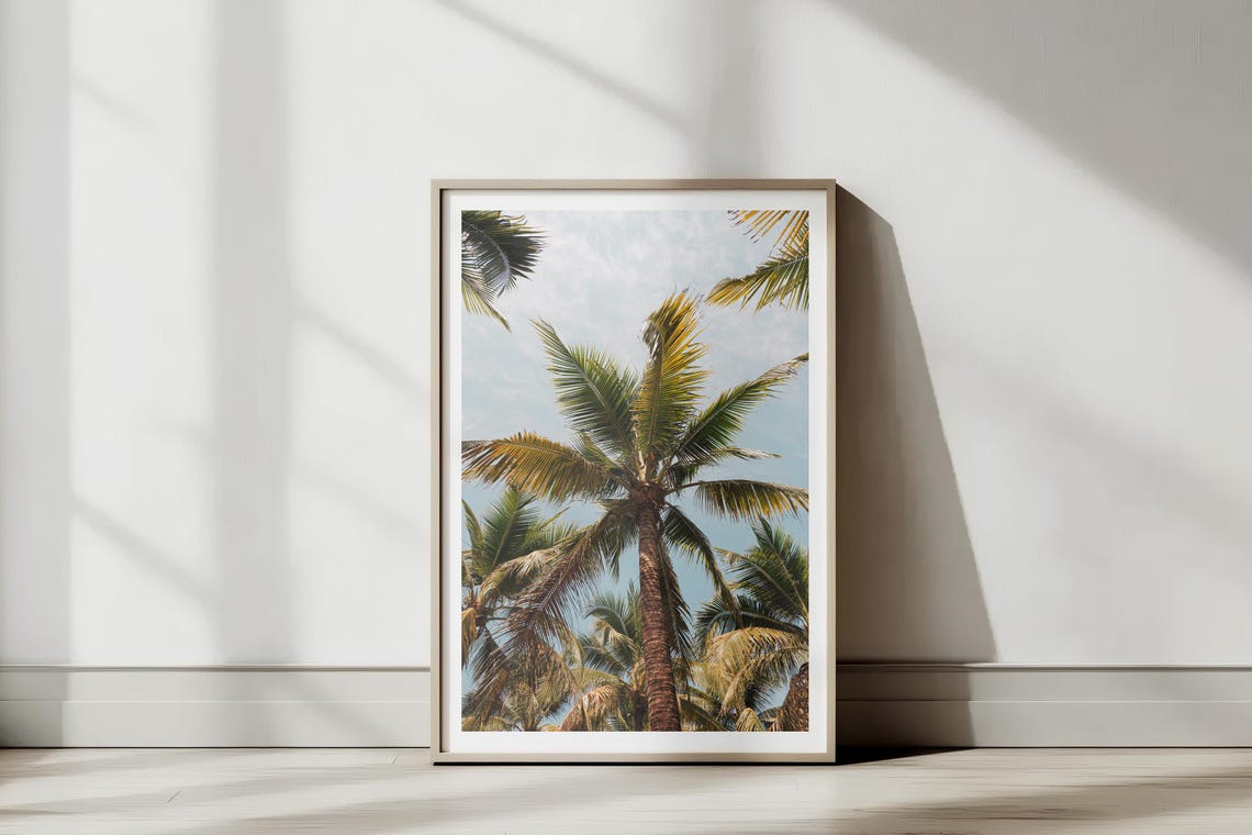 Tropical Palm Trees From Below Blue Sky Photography Art Poster