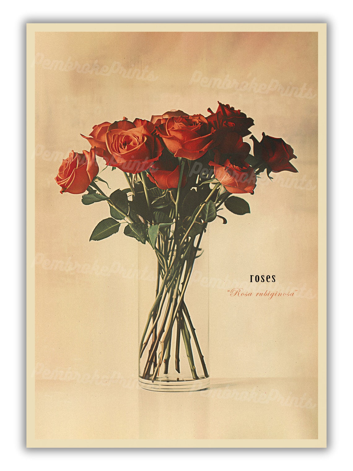 Vintage Vase Of Red Roses Art Print - Image 3