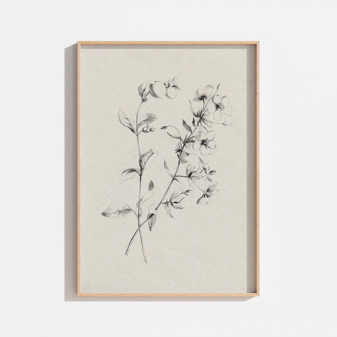 Vintage Cream Black Botanical Flower Sketch Antique Engraving Wall Art