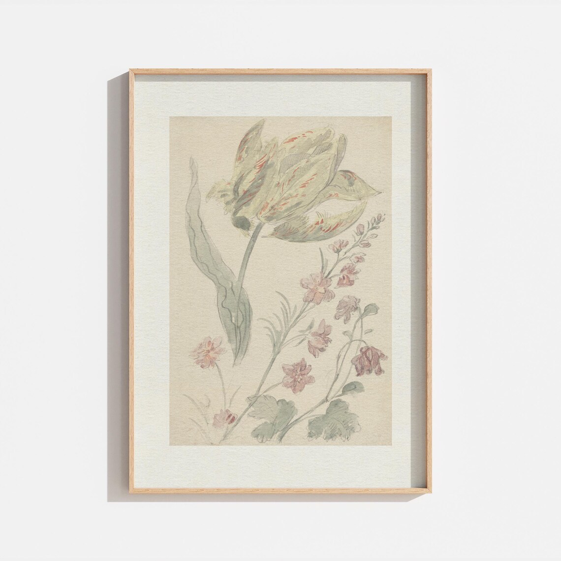 Vintage Neutral Cream Botanical Tulip Pink Flower Sketch Wall Art