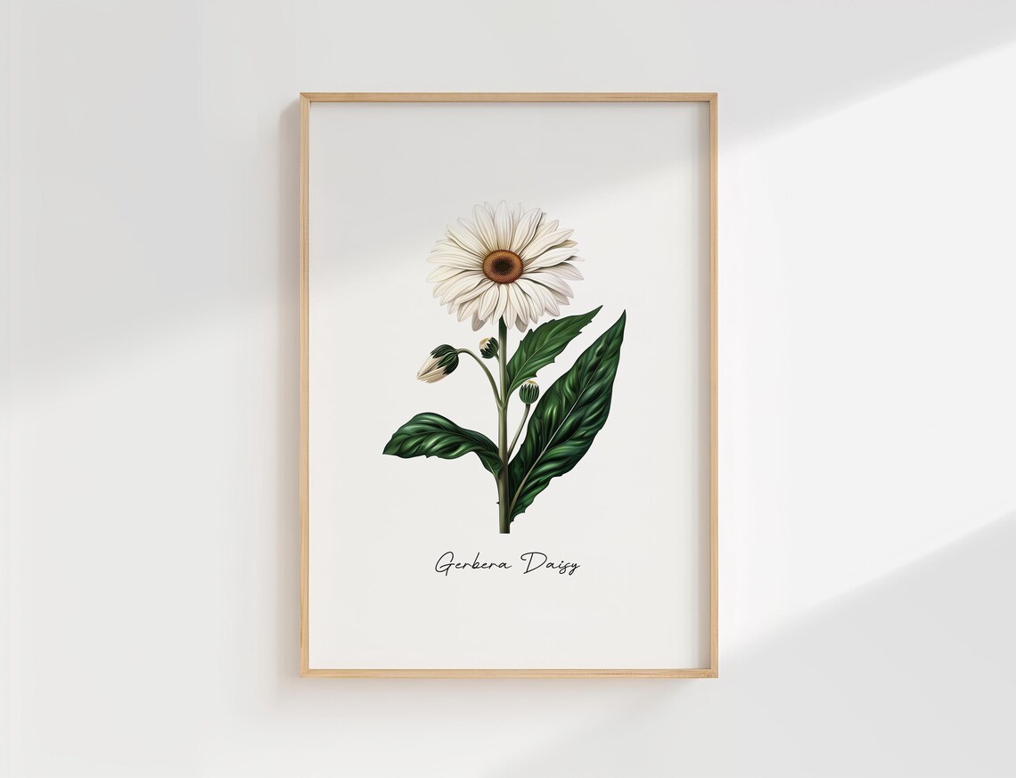 Gerbera Daisy Print Vintage Botanical Illustration White Flower Wall Art