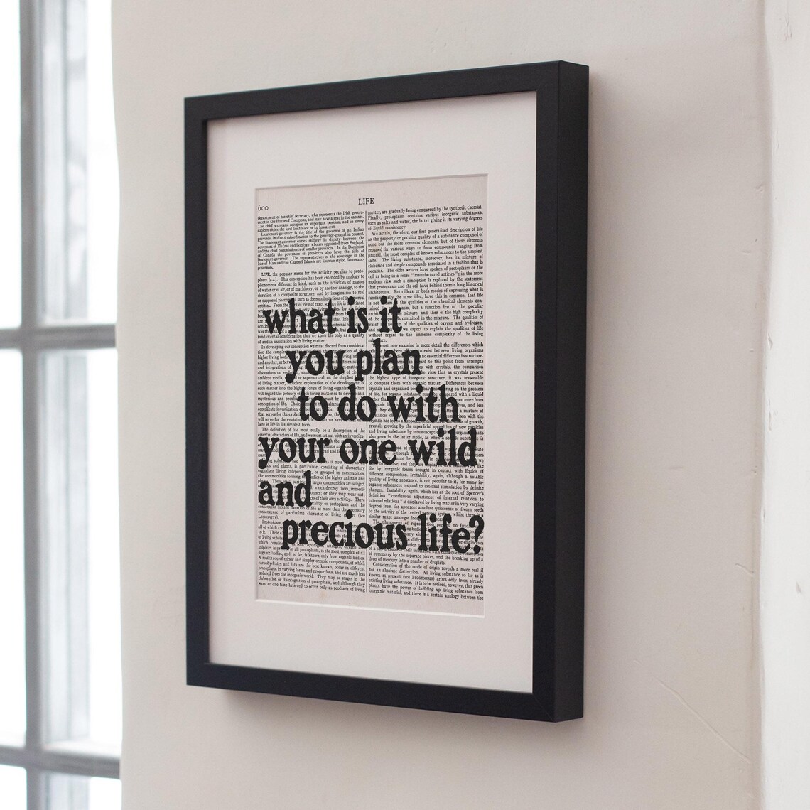 What Is It You Plan To Do Quote, Summer Day Poster - Image 4