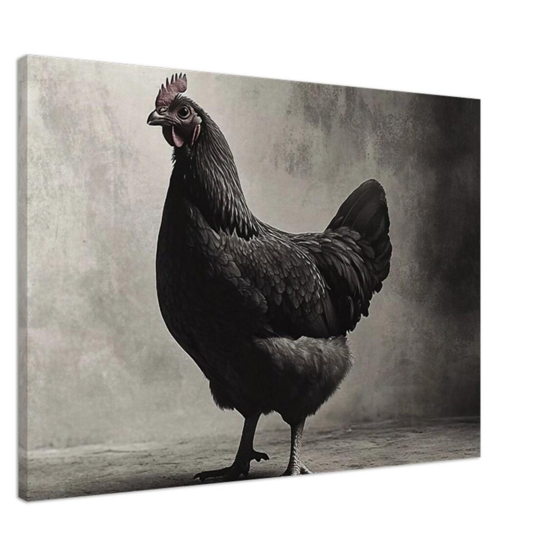 Black Hen Portrait in Classic Black and White Art Style Poster - Image 4