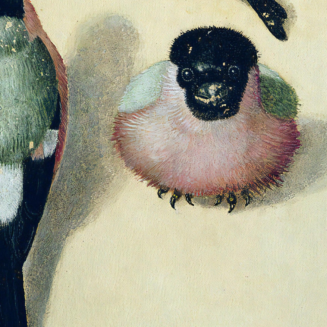 Three Bullfinches Vintage Bird Studies Renaissance Nature Print - Image 2