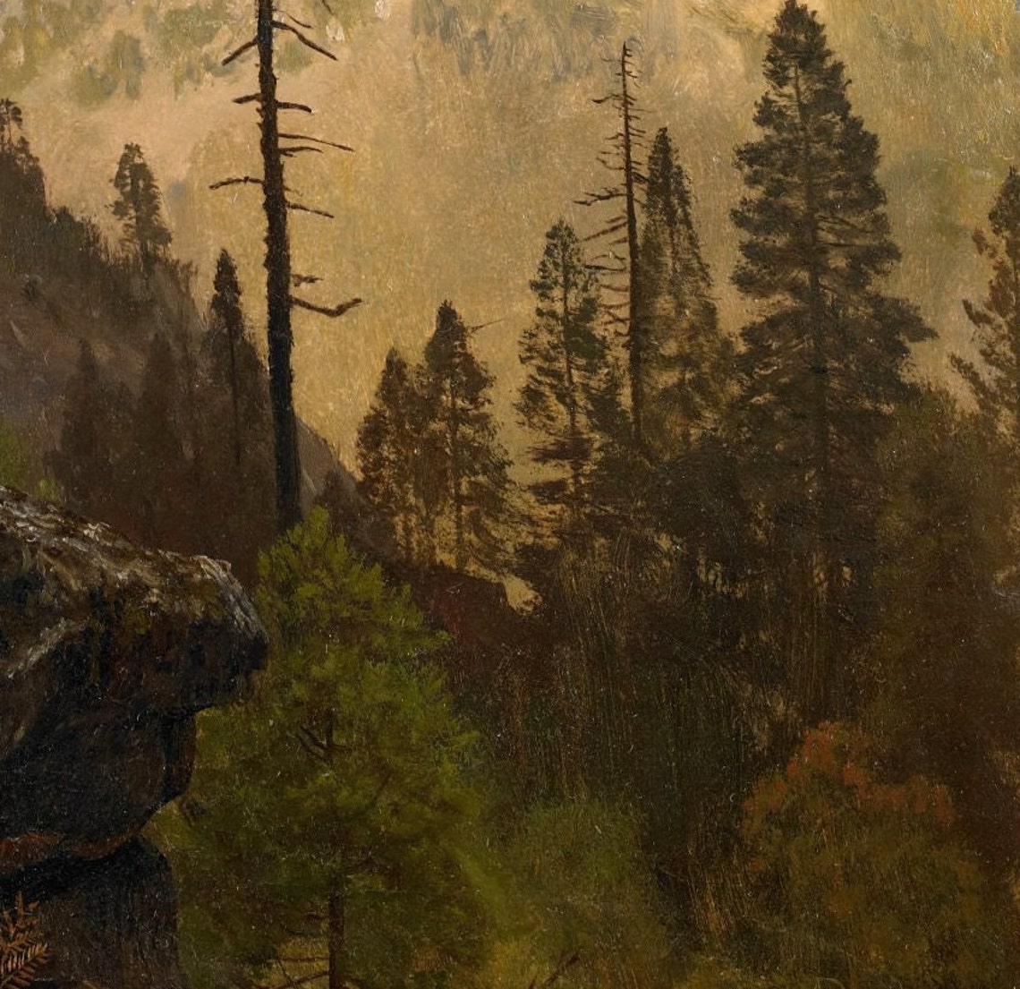 Granite Domes and Sheer Cliffs Rising Above Pine Forest Art Poster - Image 2
