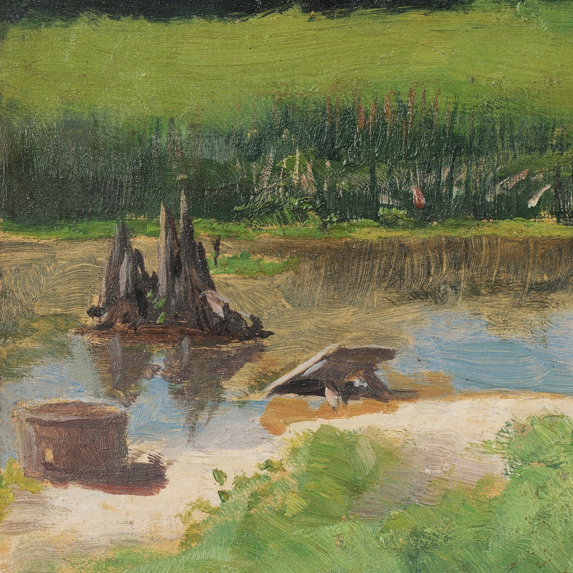 Quiet Marsh Pond with Fallen Logs and Still Water Landscape Poster - Image 3