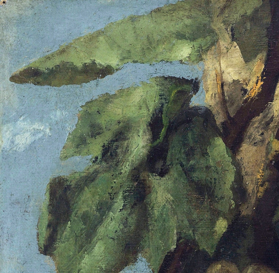 Gustave Courbet Grape Cluster Vine Still Life Textured Art Poster - Image 3