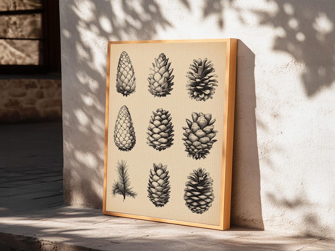 Nine Pinecones Botanical Ink Study Vintage Nature Illustration Poster - Image 6