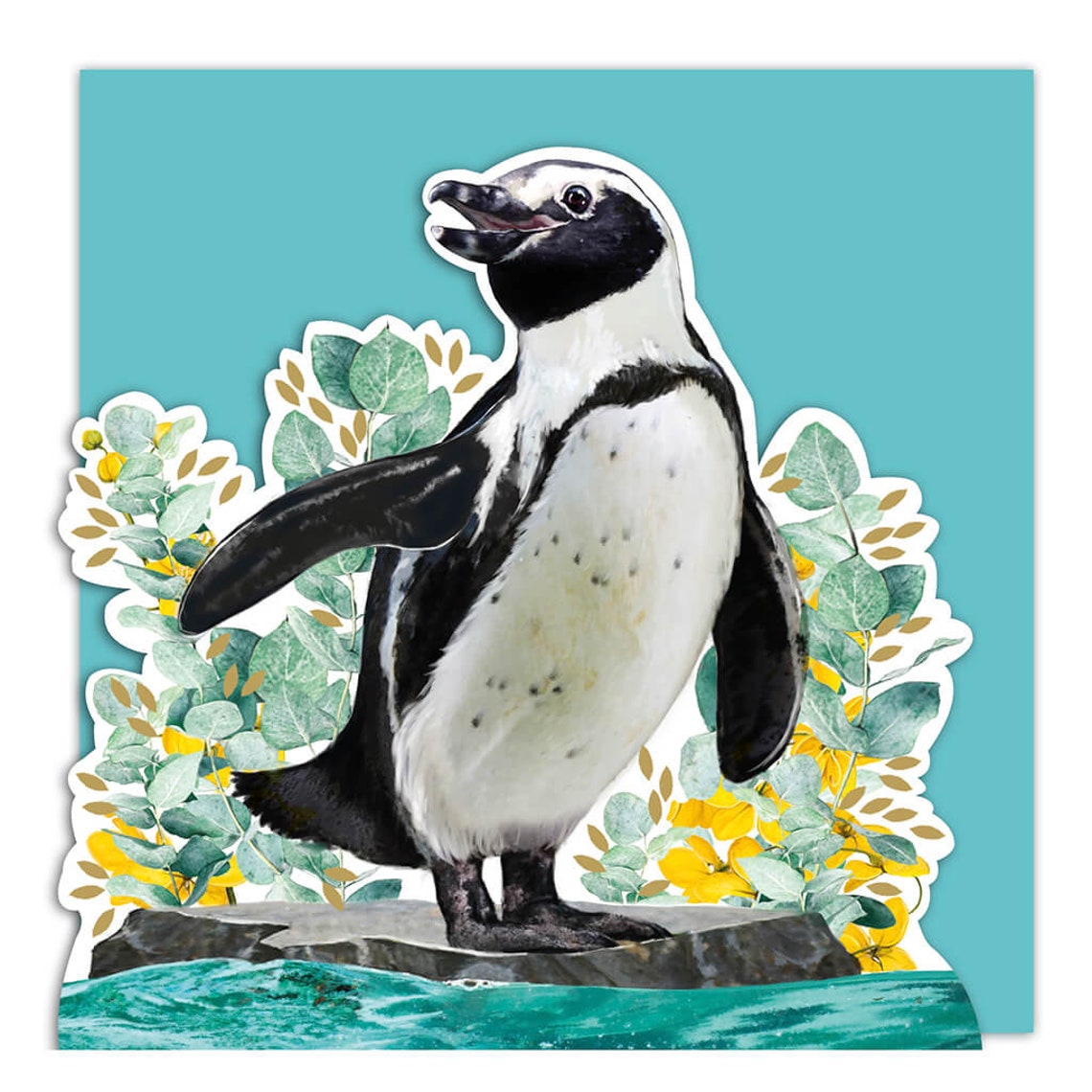 Penguin 3D Card, Lola Design X Zsl