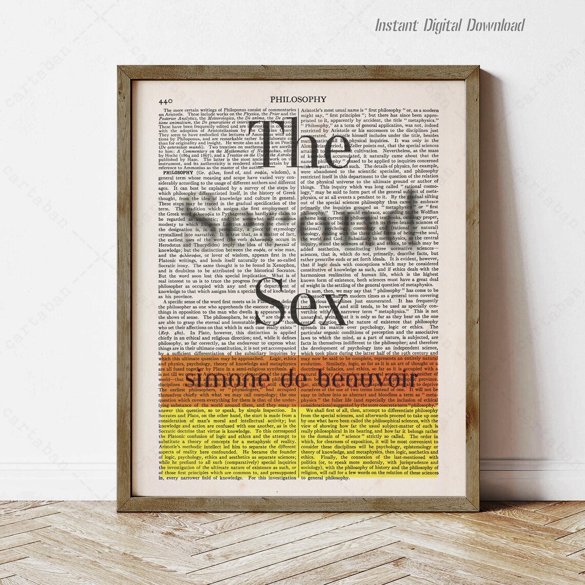 The Second Sex Simone De Beauvoir Philosophy Page Literary Art Print