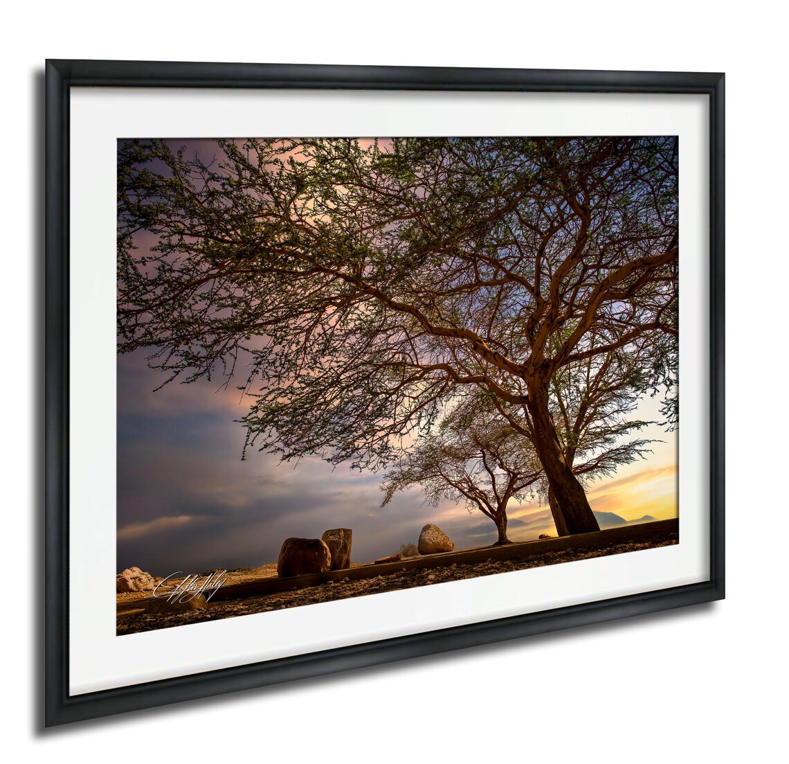Israeli Nature Print, Acacia Tree and Dead Sea