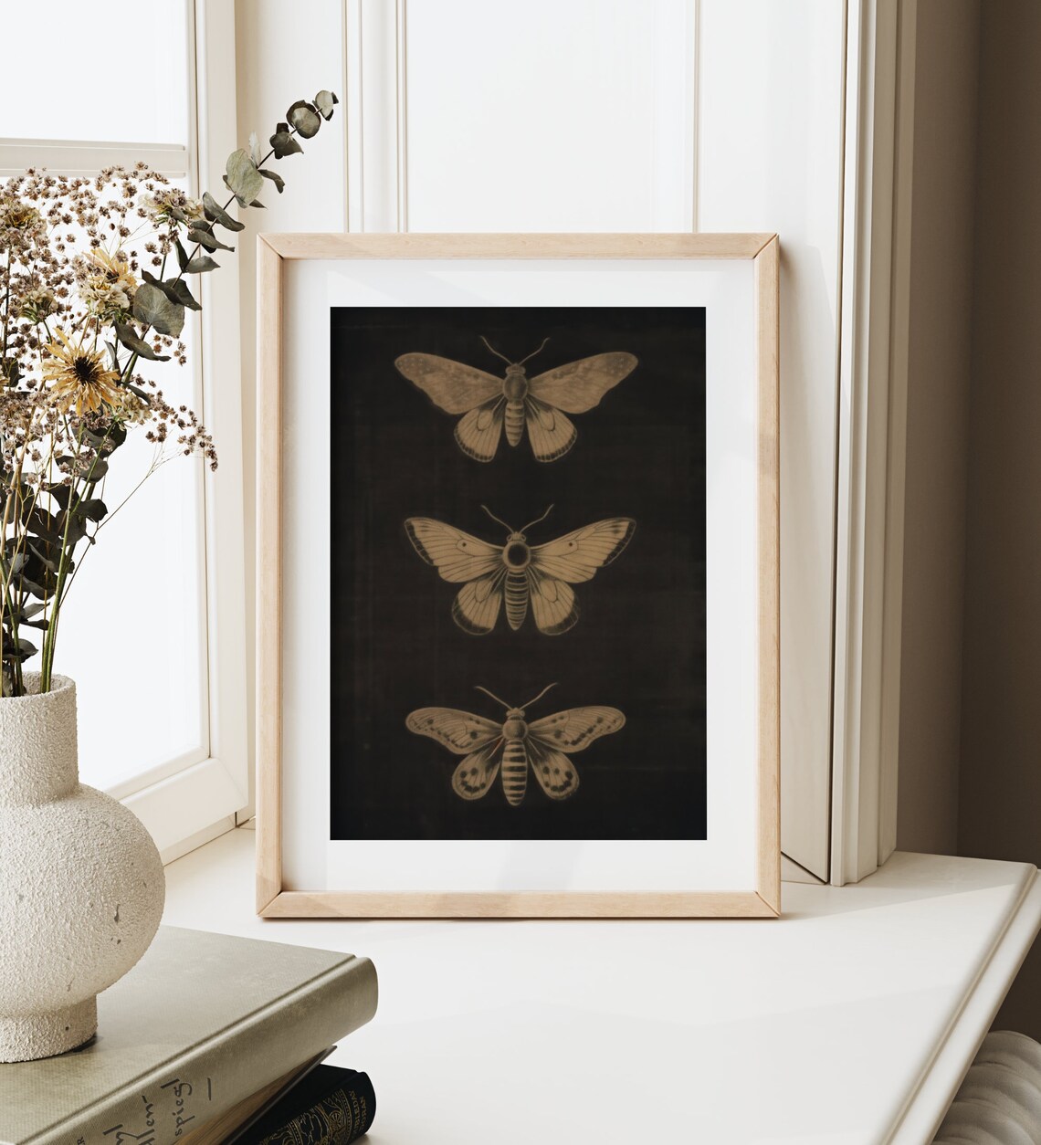 Vintage Moth Illustrations on Black Sepia Entomology Art Poster - Image 2