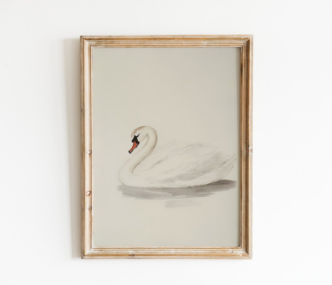 Vintage White Swan Painting Wall Art French Country Wall Art Nursery Wall Art Vintage Print Animal Poster
