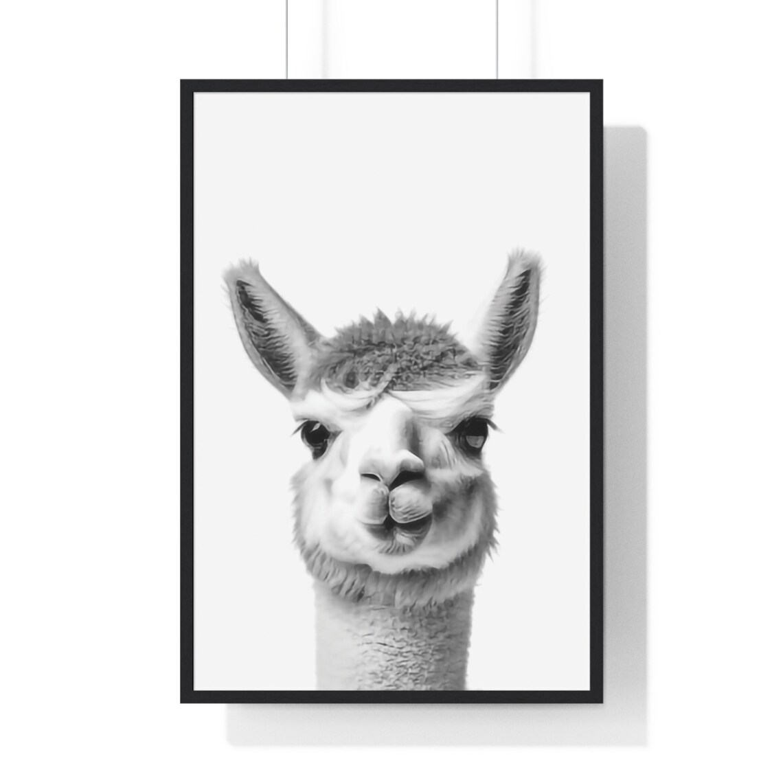 Baby Alpaca Portrait Black and White Safari Nursery Animal Poster - Image 2
