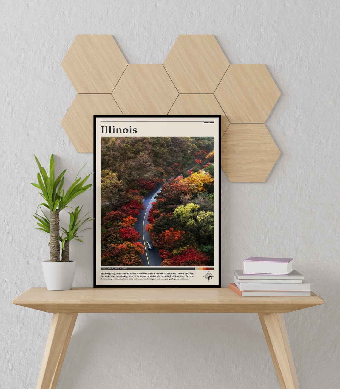 Illinois Shawnee National Forest Fall Colors Aerial Road View Poster - Image 2