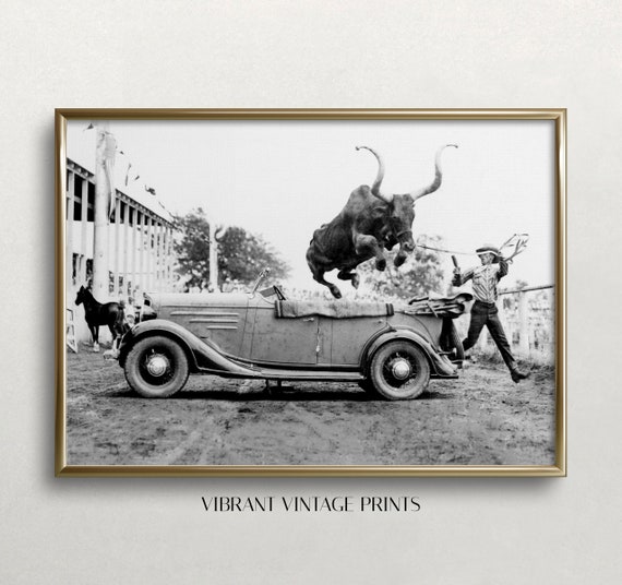 Bull Jumping Over Car Western Wall Decor Black And White Art Vintage Wall Art Wild West Show Old Photo Wall Art