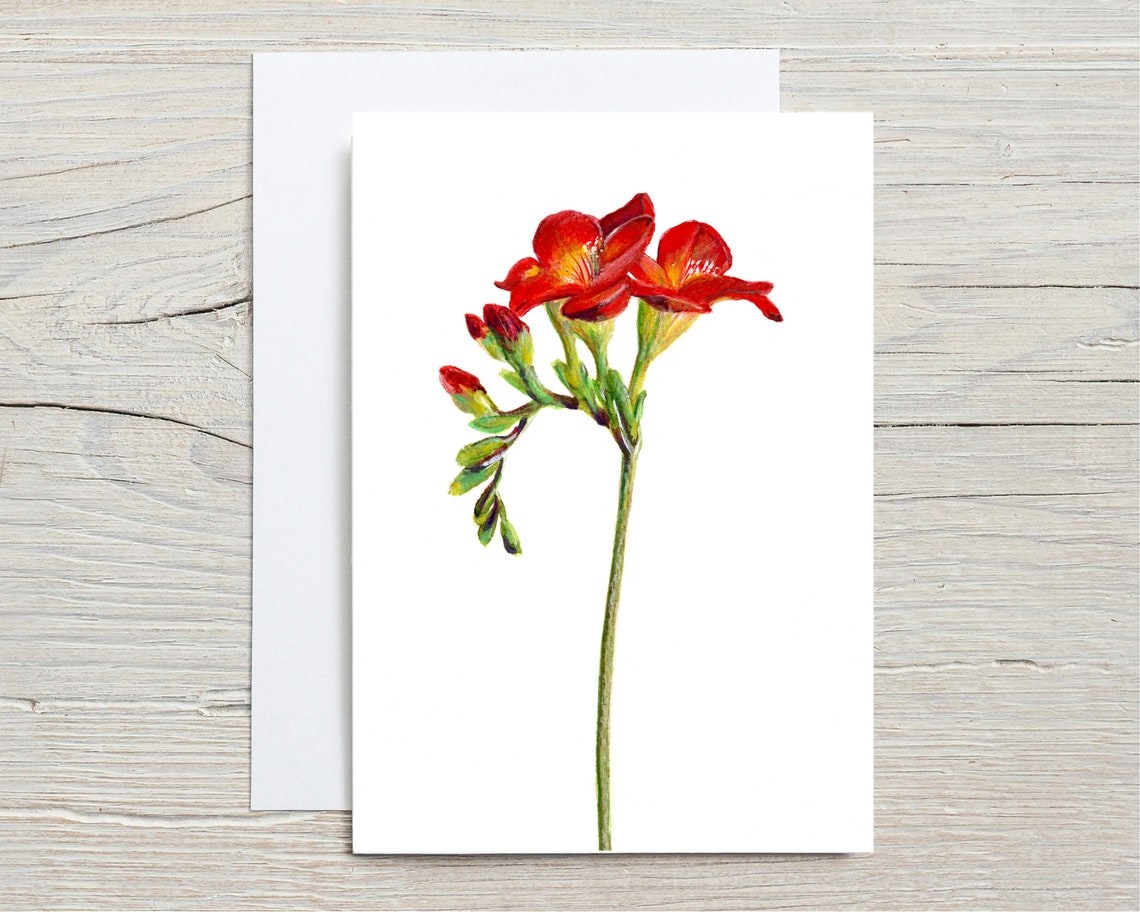 Red Freesia Botanical Watercolour Card Print with Slender Green Stem