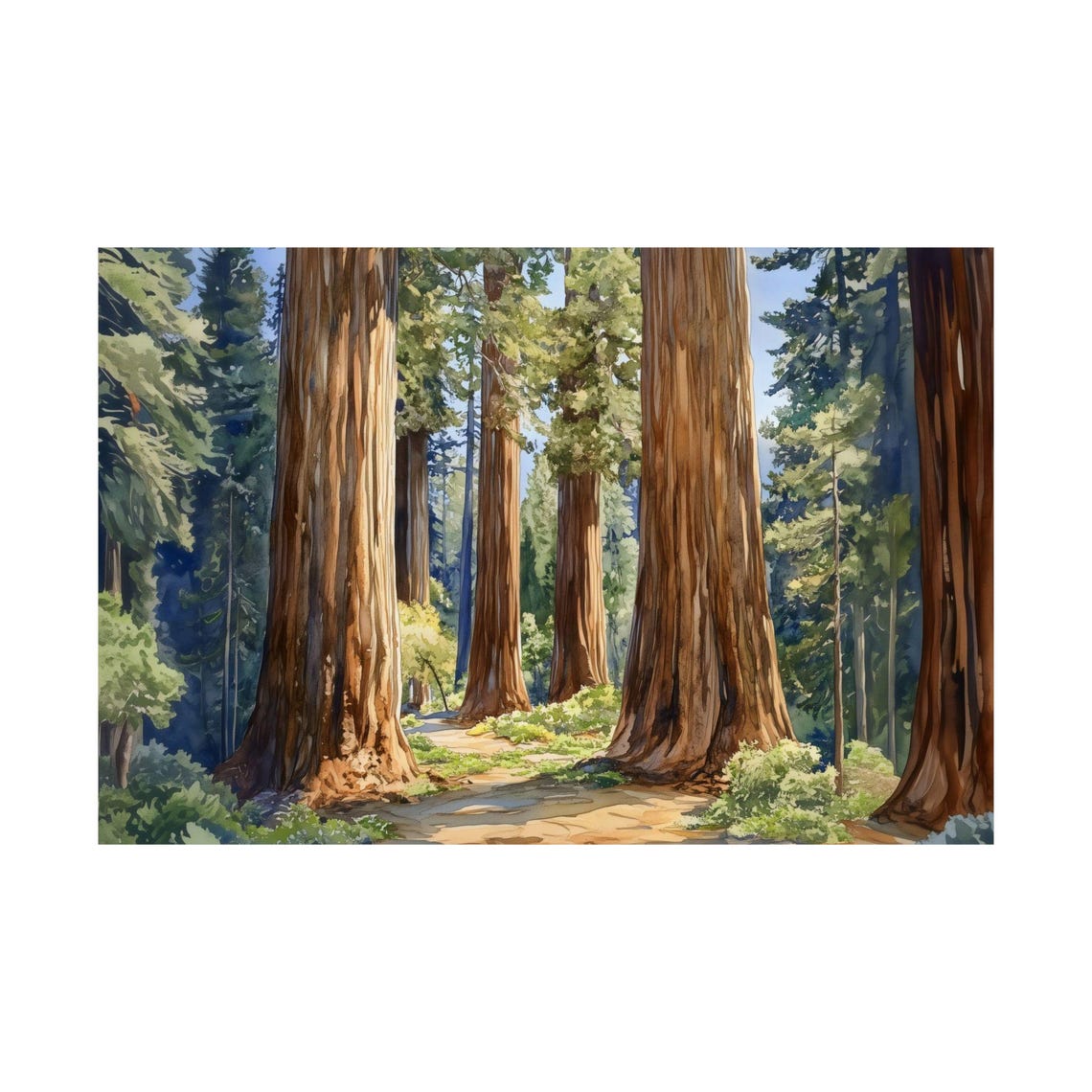 Redwood Forest Path Sunlight Watercolor Tall Trees Nature Hike Poster - Image 2