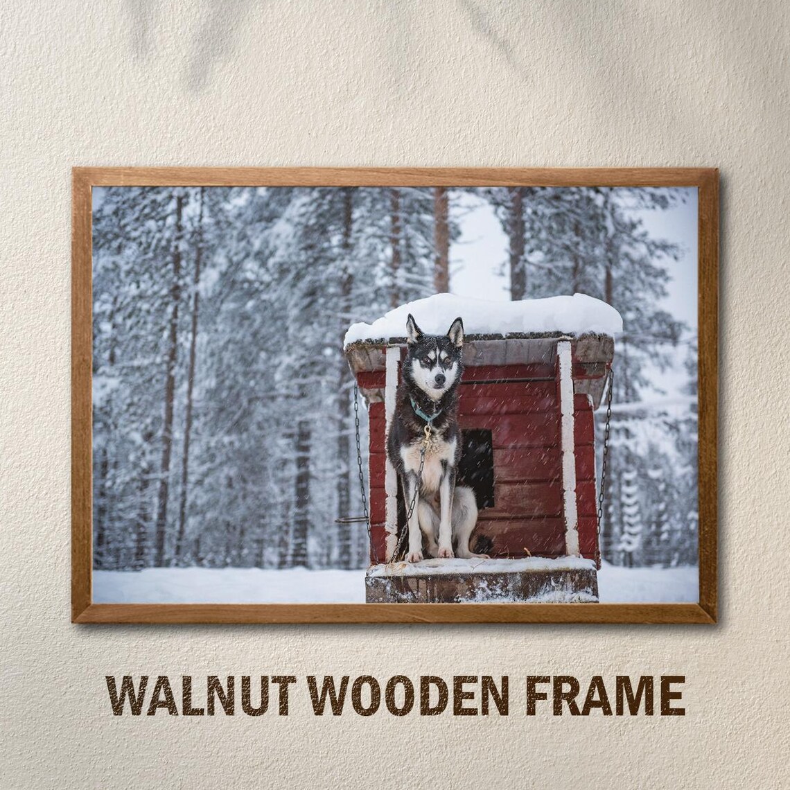 Siberian Husky Winter Snowy Forest Dog House Photography Poster