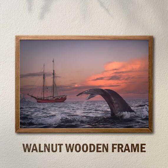 Whale Tail And Sailing Ship Print Sunset Ocean Wall Art Nautical Wildlife Photography Poster
