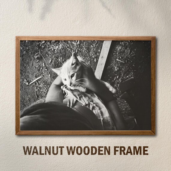 Black and White Kitten Hug Emotional Cat Photography Art Poster
