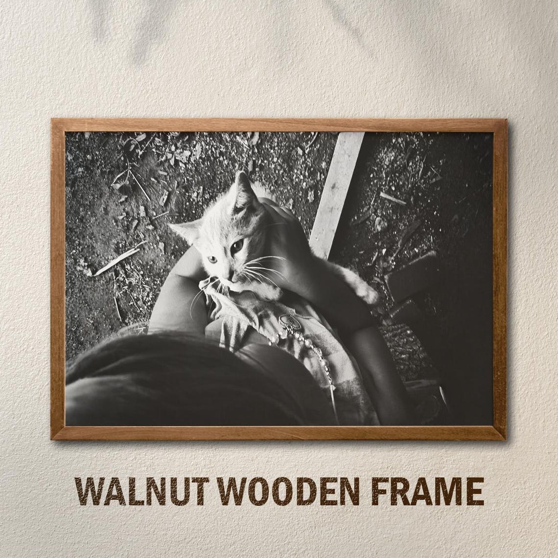 Black and White Kitten Hug Emotional Cat Photography Art Poster