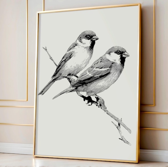Two Sparrows Black And White Sketch Print Minimalist Bird Art Vintage Nature Illustration Wall Decor