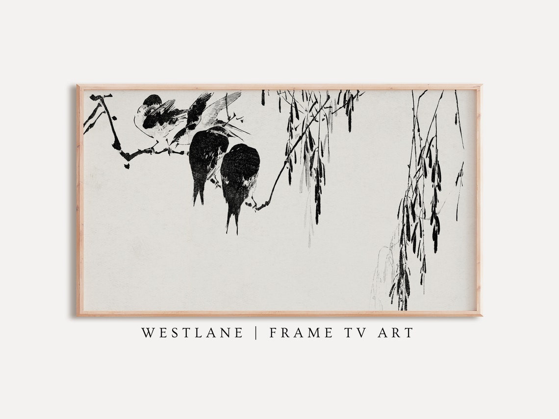 Minimalist Bird Ink Painting Swallows Willow Branch Art Print
