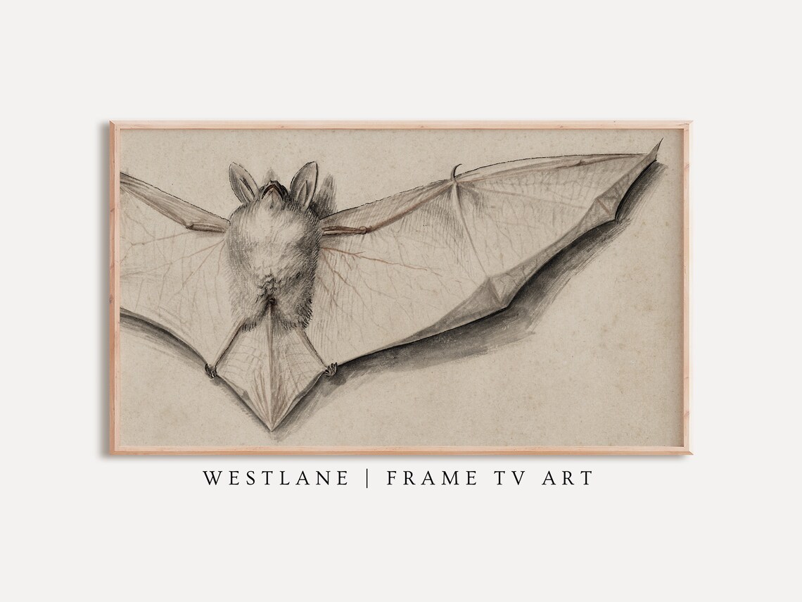 Vintage Bat With Outstretched Wings Antique Sketch Gothic Wall Art Poster