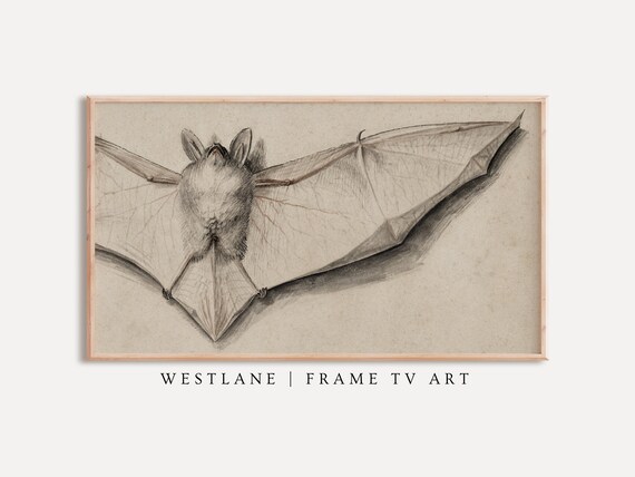 Vintage Bat With Outstretched Wings Antique Sketch Gothic Wall Art Poster