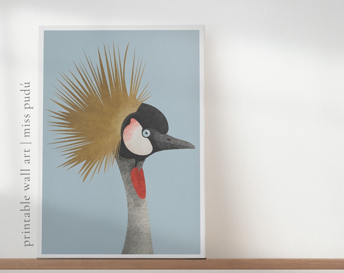 African Grey Crowned Crane Illustration Art Print